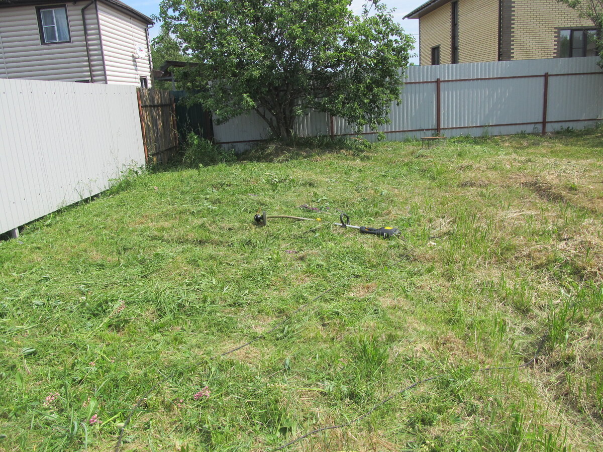 Скошенная трава.