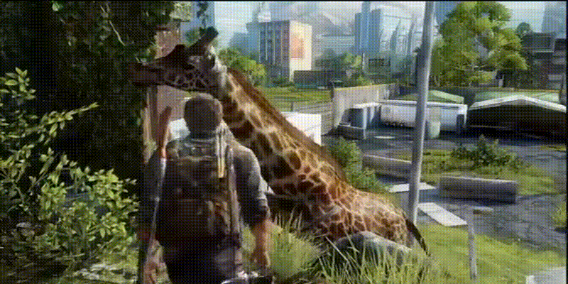 Сцена с жирафом (The Last of Us)