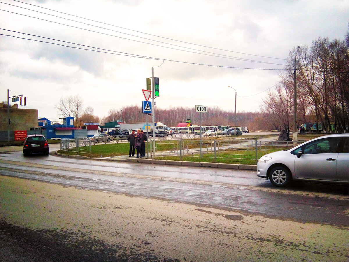 На дороге. Фото автора