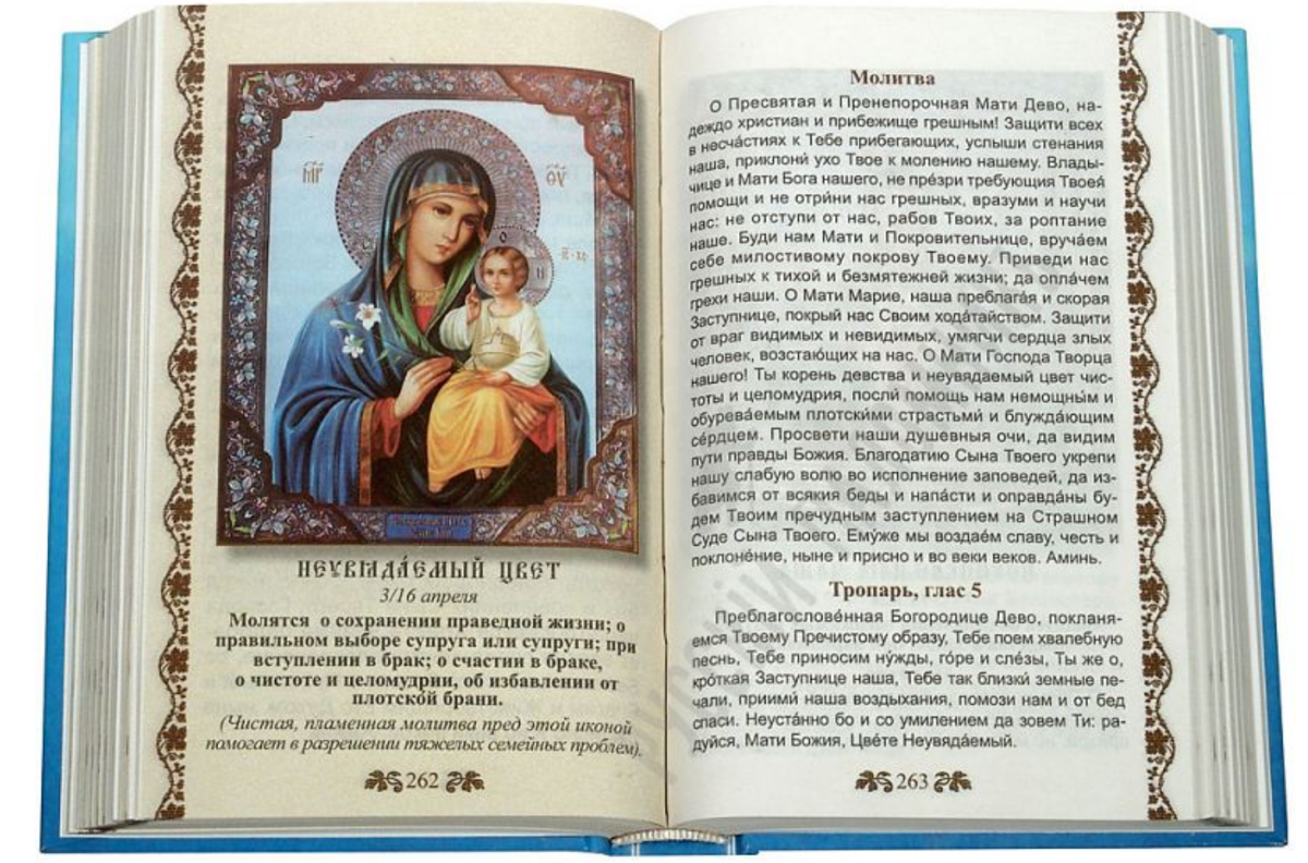 Источник: Яндекс