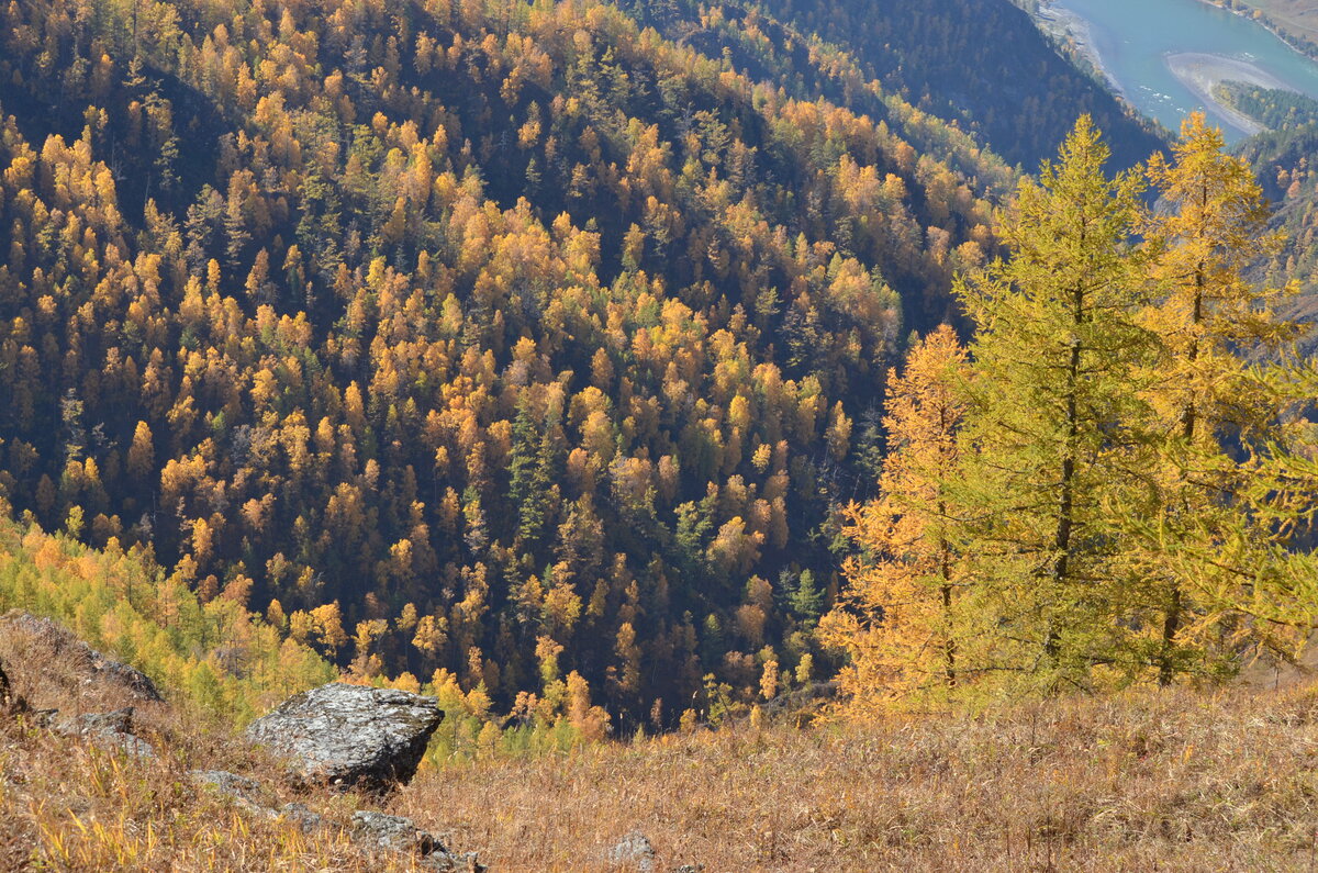 Золотая осень