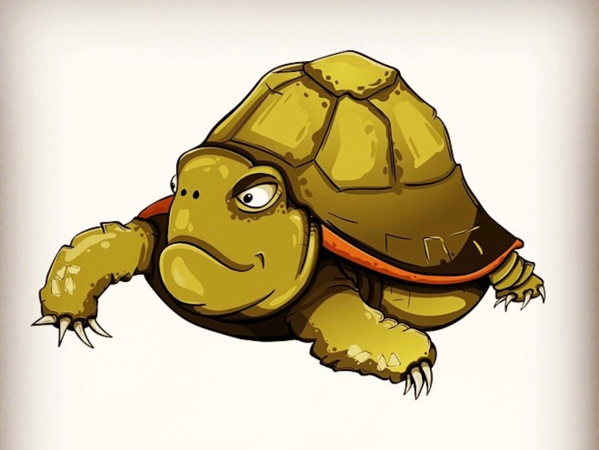 Черепаха тортилла рисунок