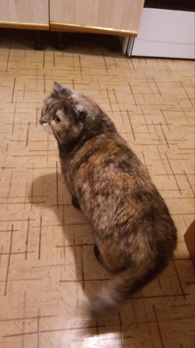 Страхи божьи-переезд