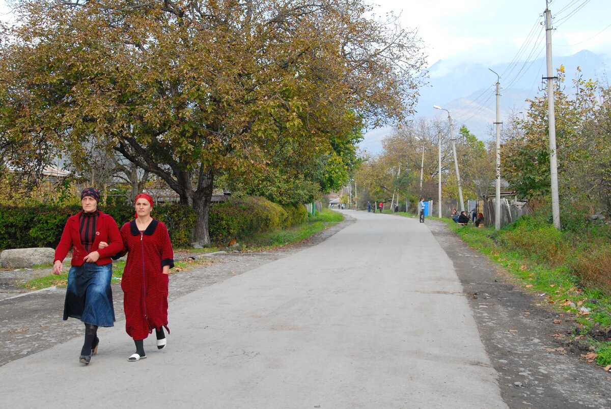 Панкисское ущелье в Грузии