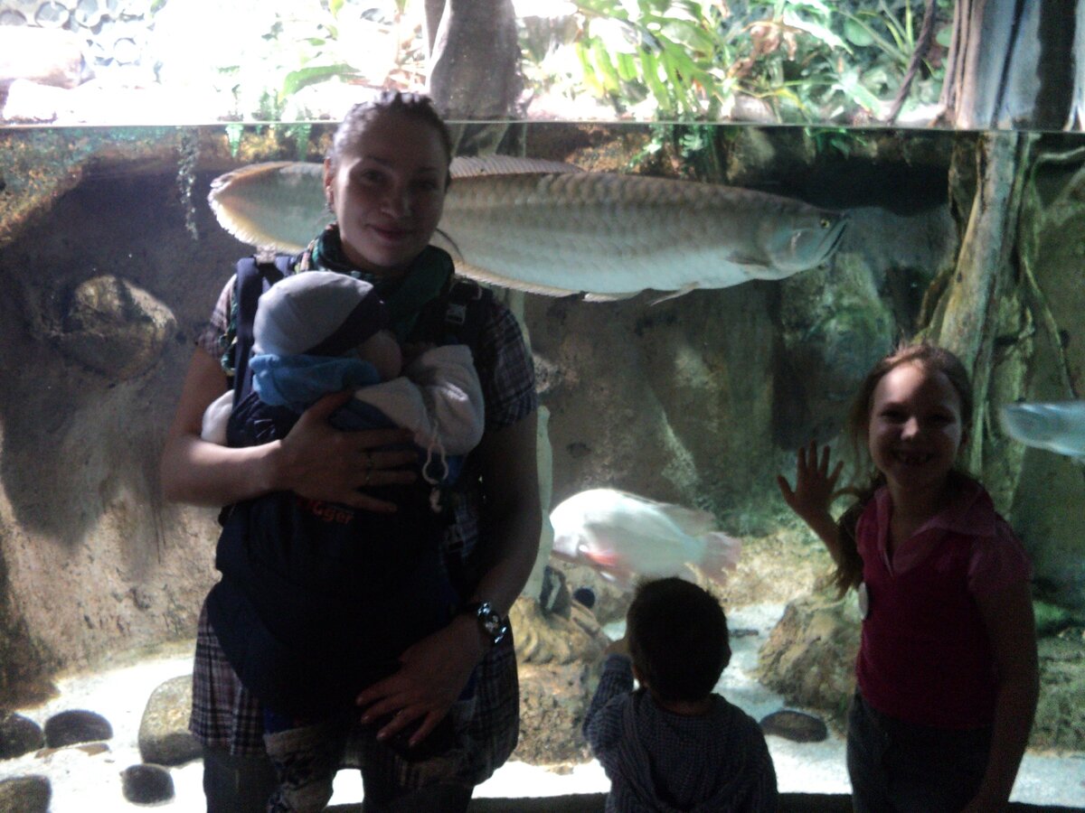 Океанариум. Санкт-Петербург. 2013 Личный архив. 