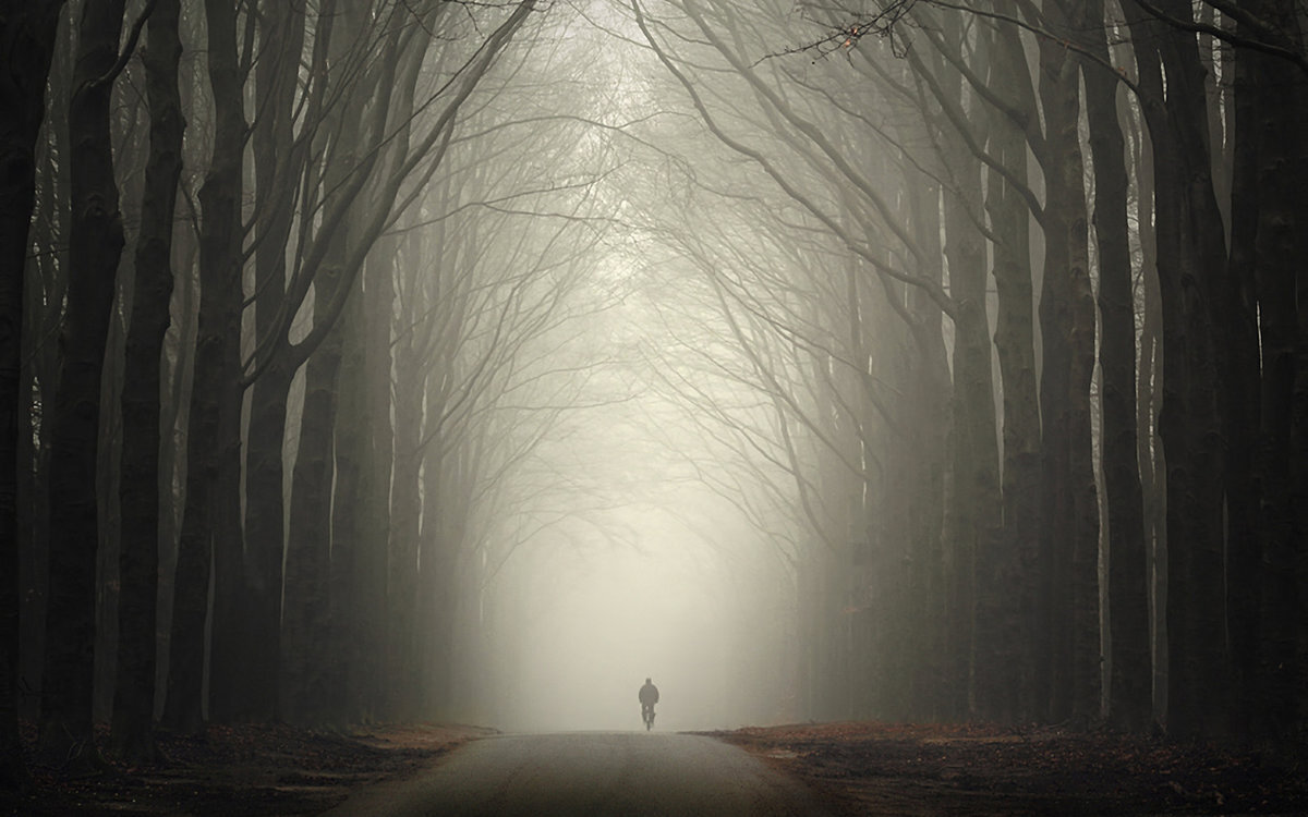 фото взято с сайта pixabay (С)