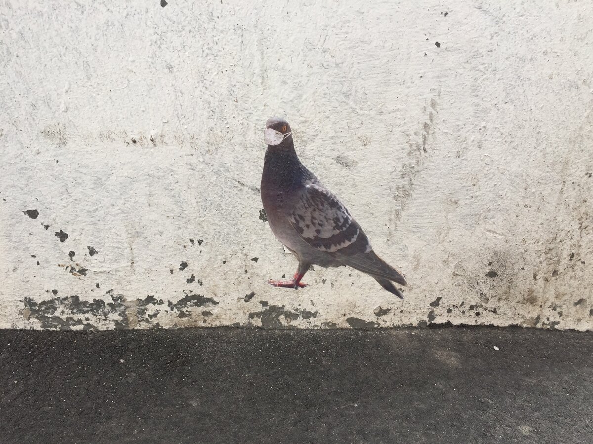 Оставайся дома