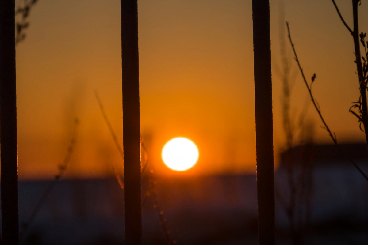 Фото с сайта: https://wallhere.com/