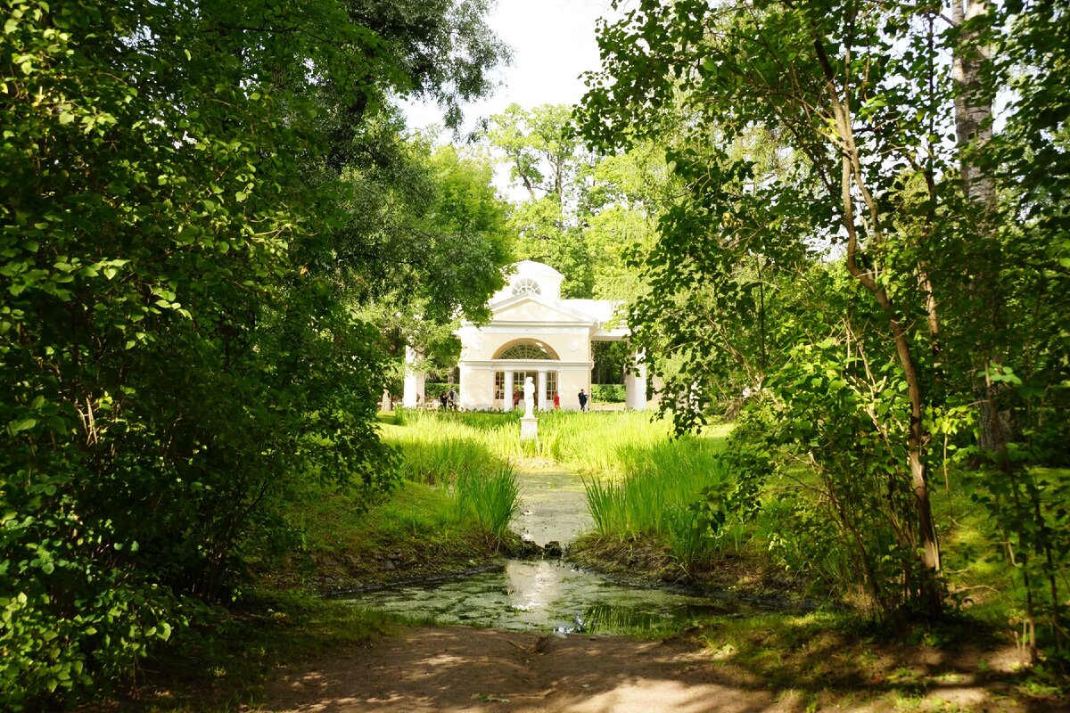 Фото павловский парк летом