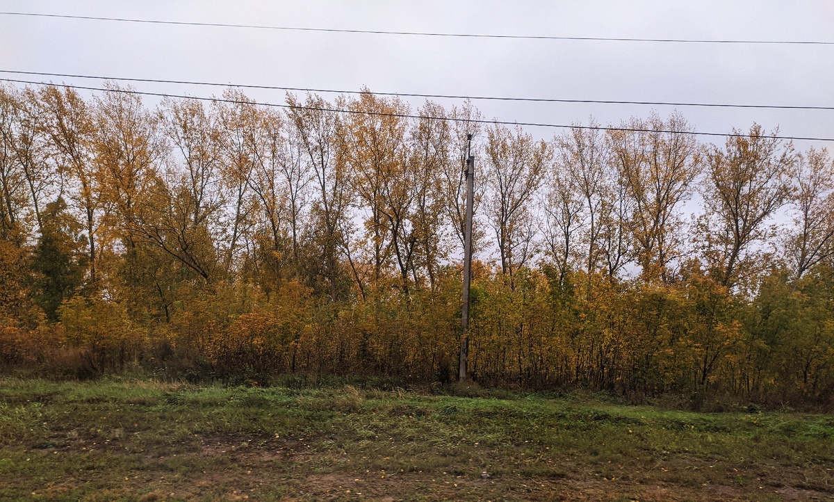                                                             Утро 19 сентября