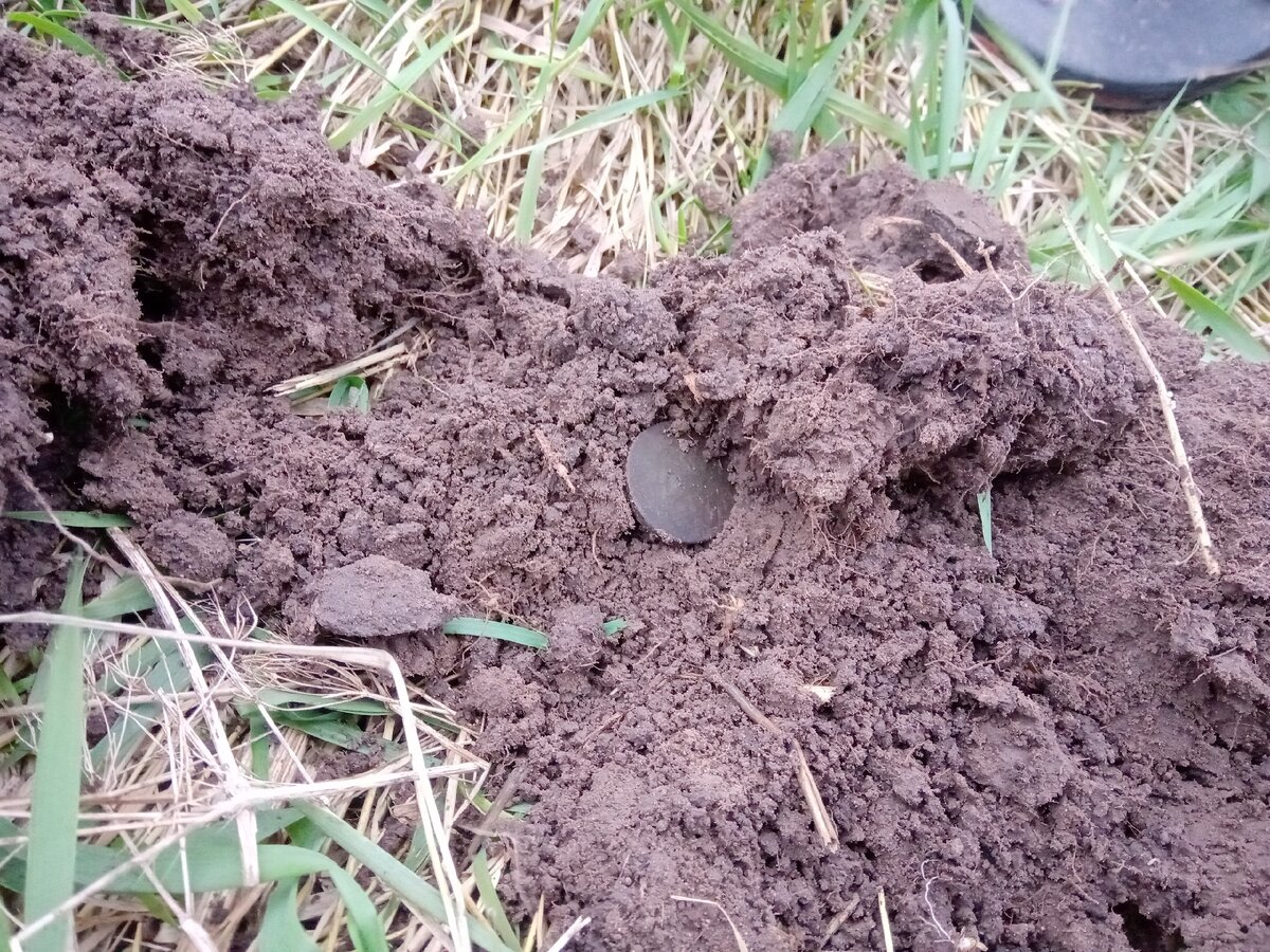 пара фото с первого дня поездки