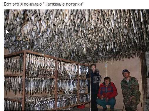 Фотография взята из открытых источников 