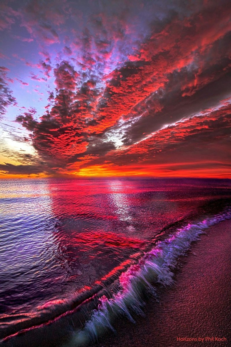 Фото взято из открытых источников