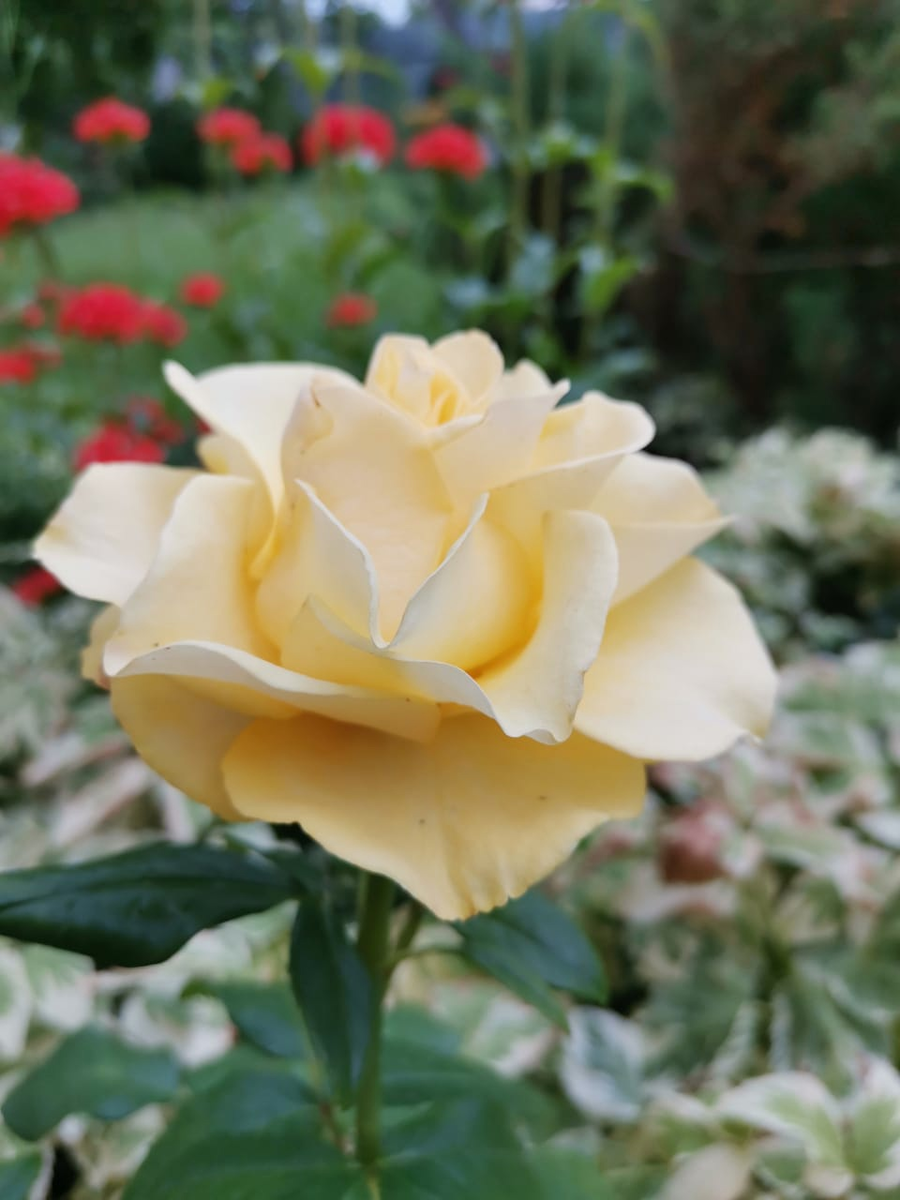 Фото взято из откртытых источников 