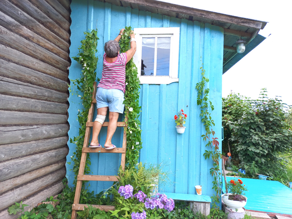 Сама в 74 года покрасила крыльцо и сама повесила вьюнки. Потому что любит чистоту и порядок. 