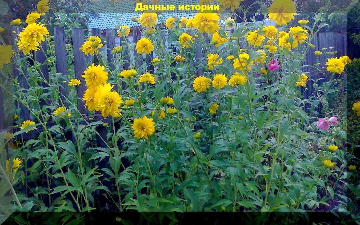 https://vk.com/photo-159774511_457248561