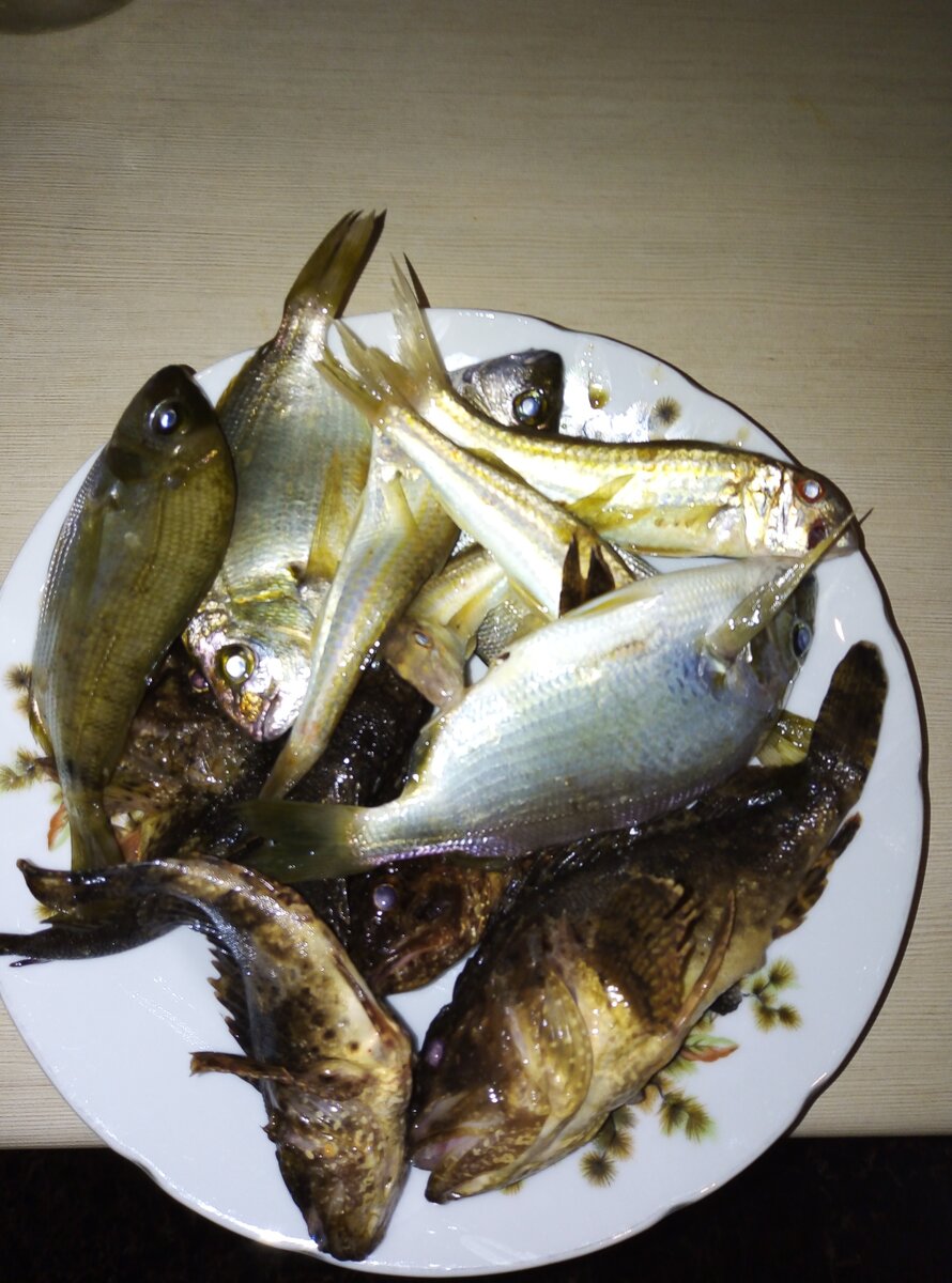 Стандартный улов за полтора-два часа на донку