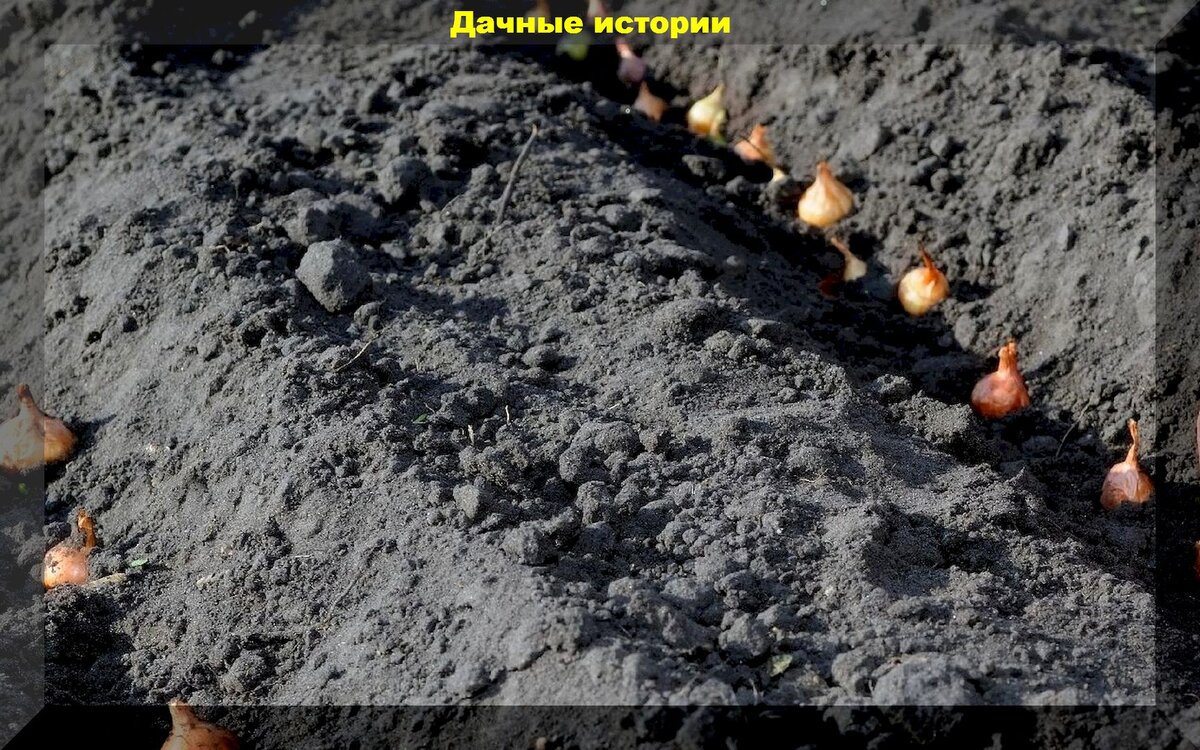 https://vk.com/photo-159774511_457249447