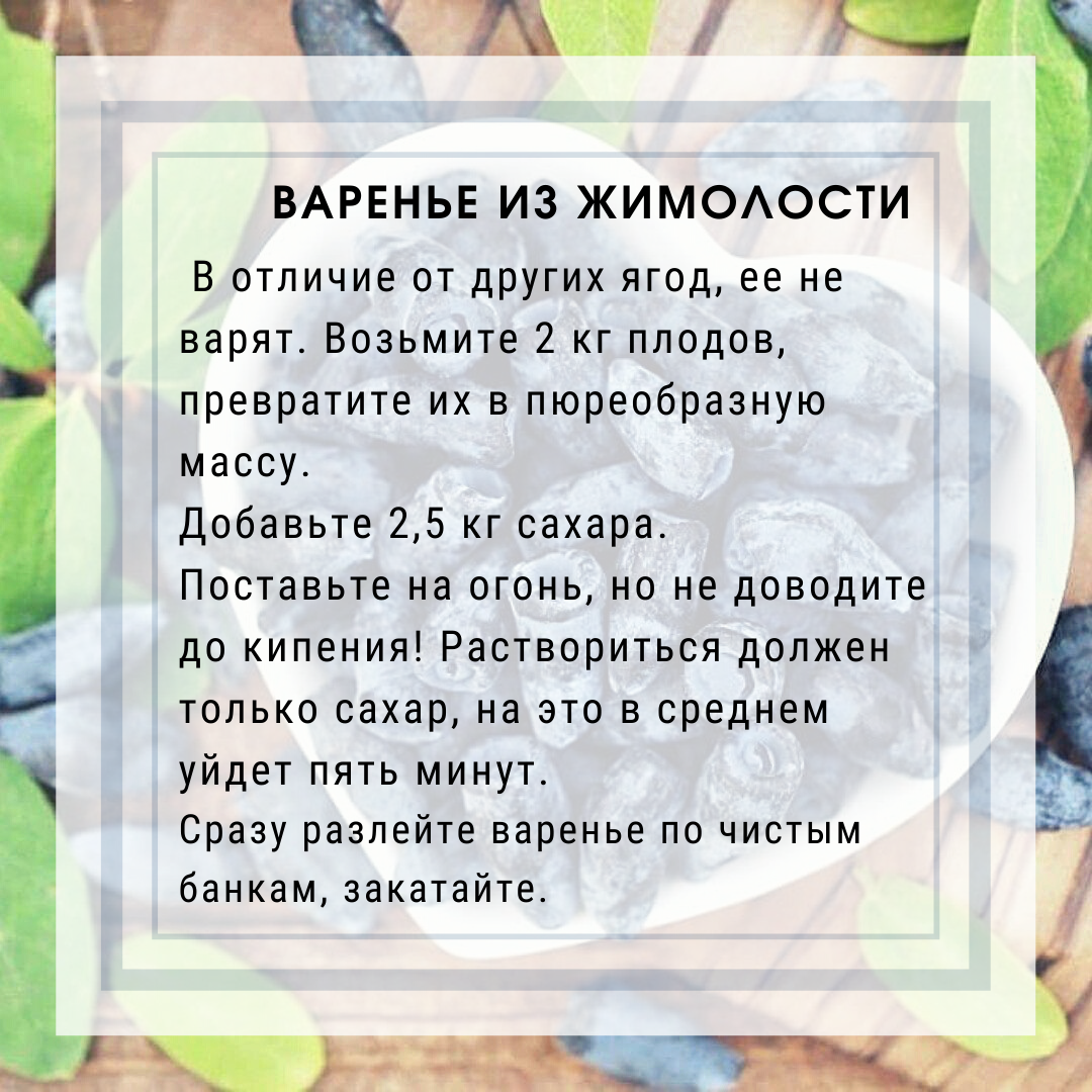 К жимолости надо знать подход: 3 главных дела осени, которые я делаю каждый  год и летом собираю отменный урожай | Росток🌷: заметки садовода | Дзен