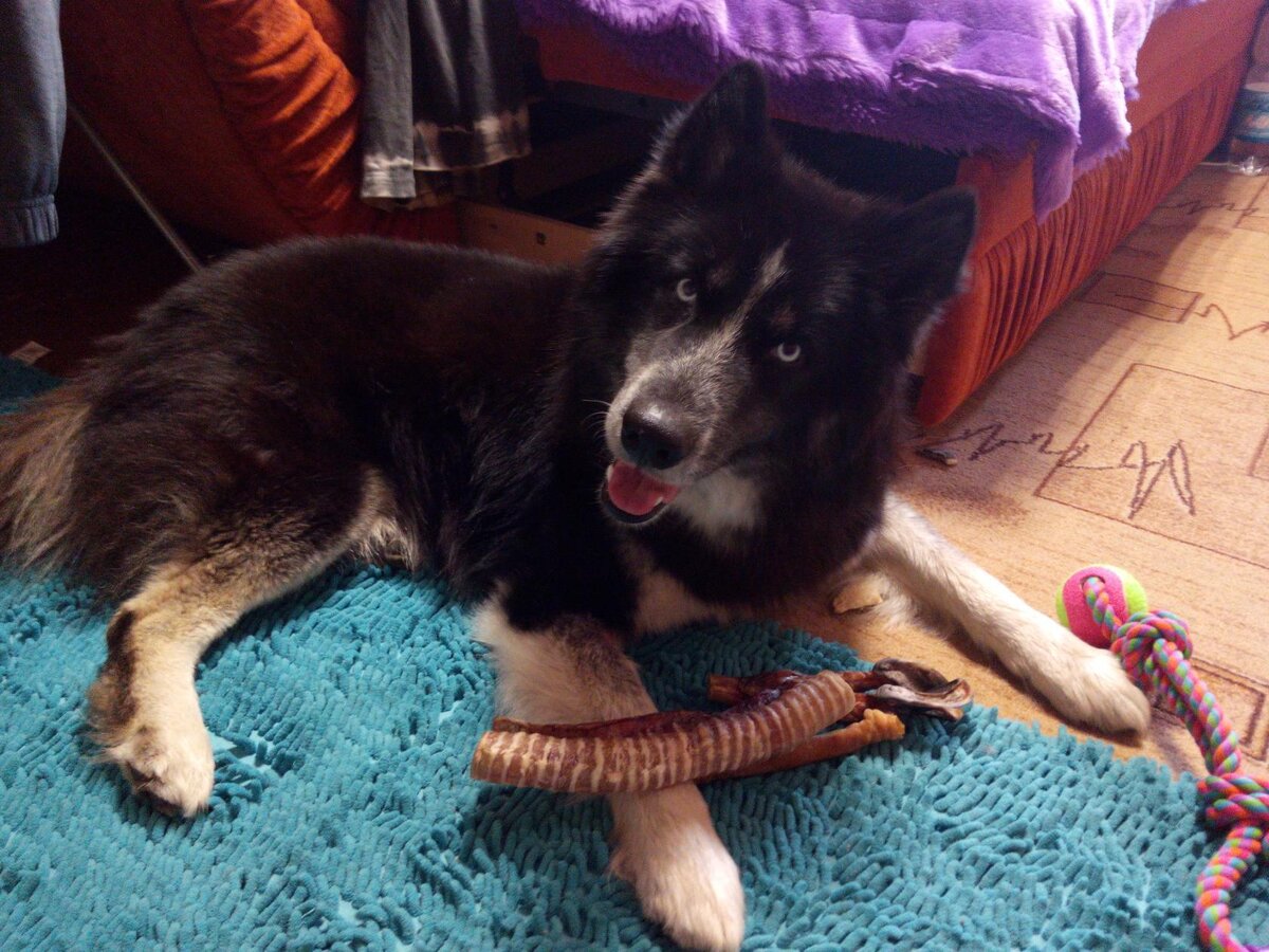 Вот такой красавчик