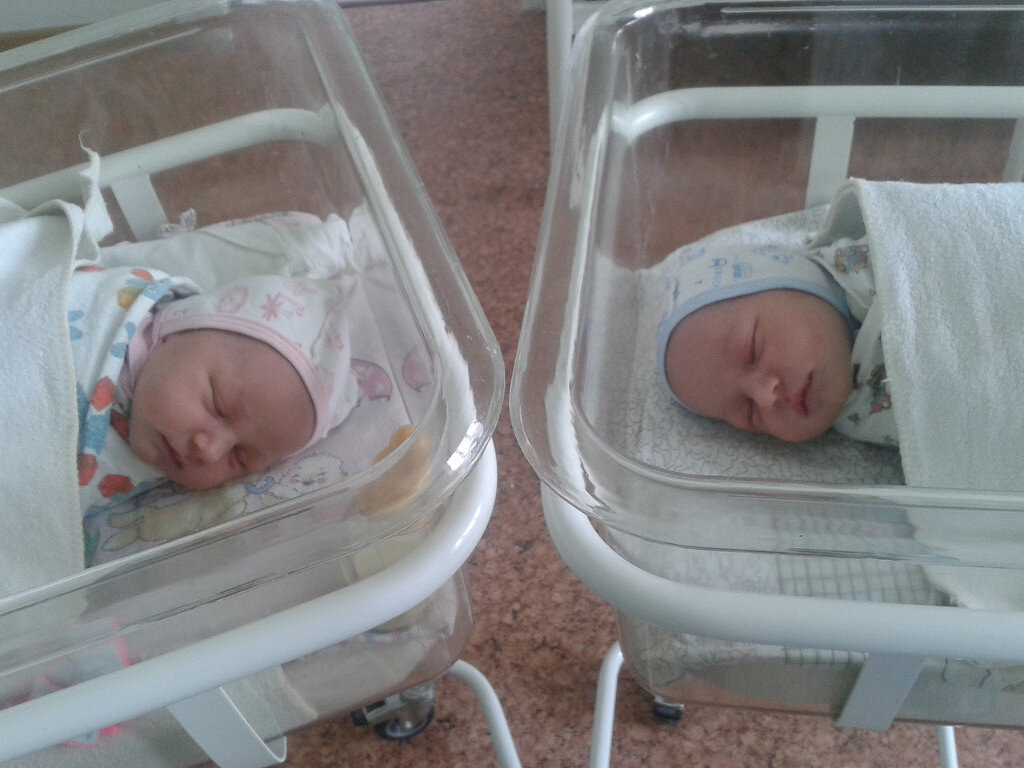 Мои девочки лежат в куветиках. Фото автора.