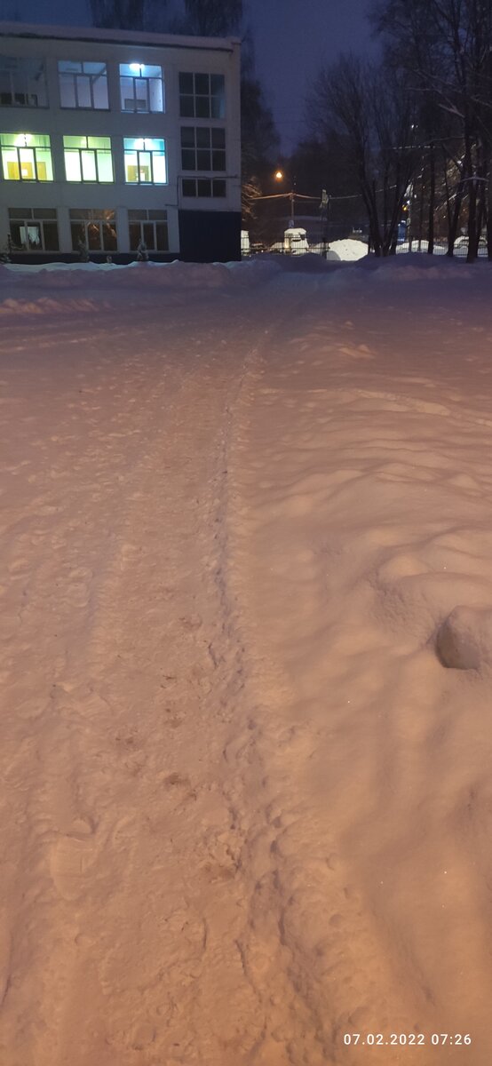 Да, конечно, в школе свои дворники... Но видимо спят с устатку.