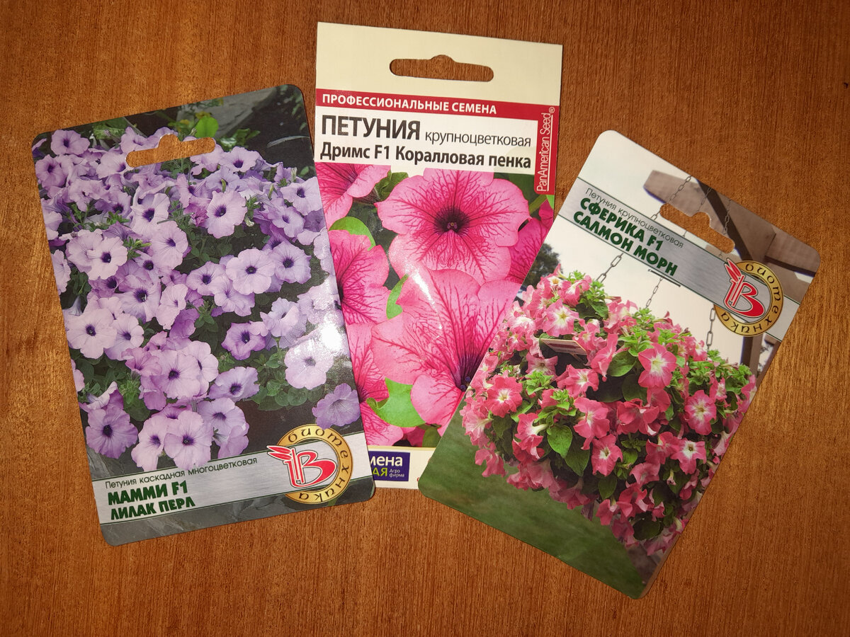 Ну разве она не красотка?