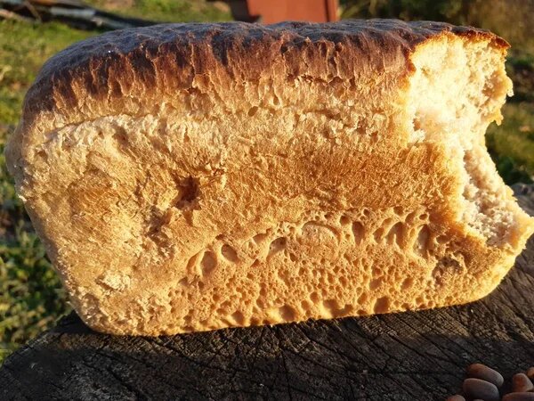 Фото из свободного доступа в интернете 