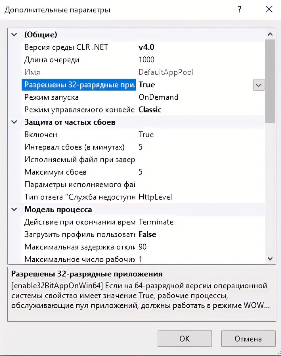 Рисунок 1 - Дополнительные параметры пула приложений