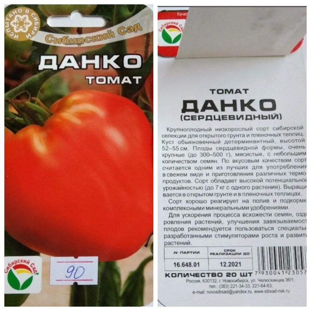 Томат Данко: описание сорта, фото, отзывы, достоинства и недостатки