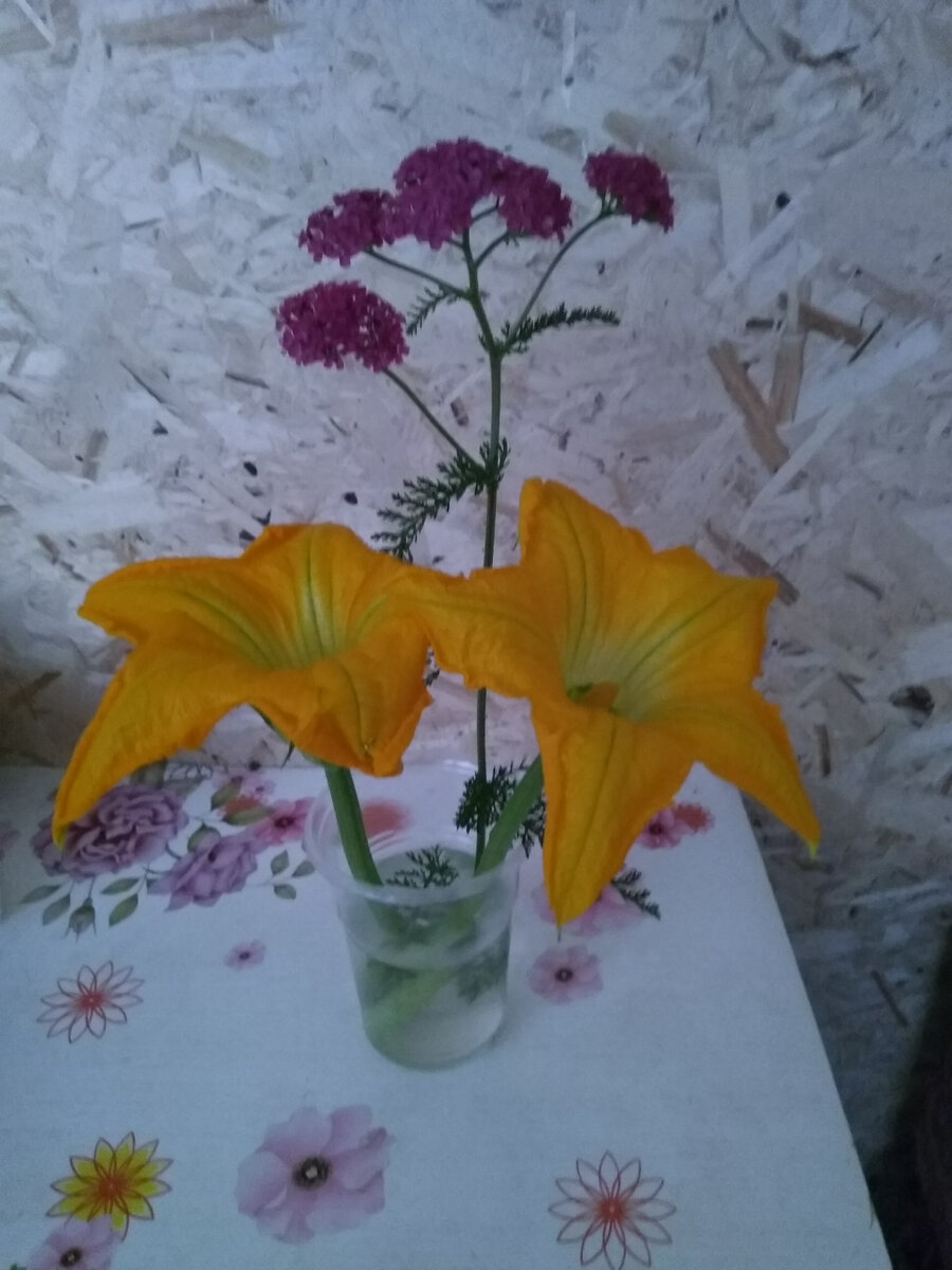 Фото автора. Дачные букеты из всего, что под руку попадётся