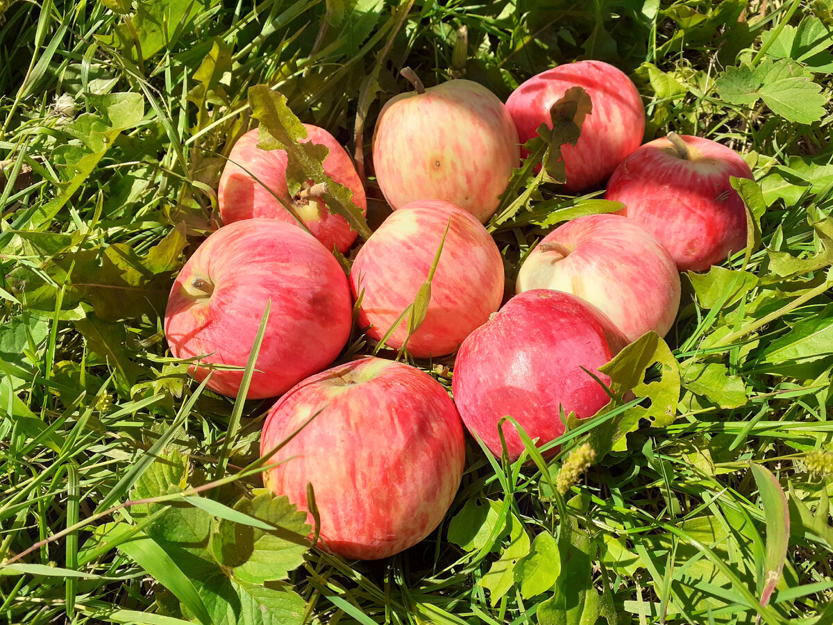 Фото из открытых источников