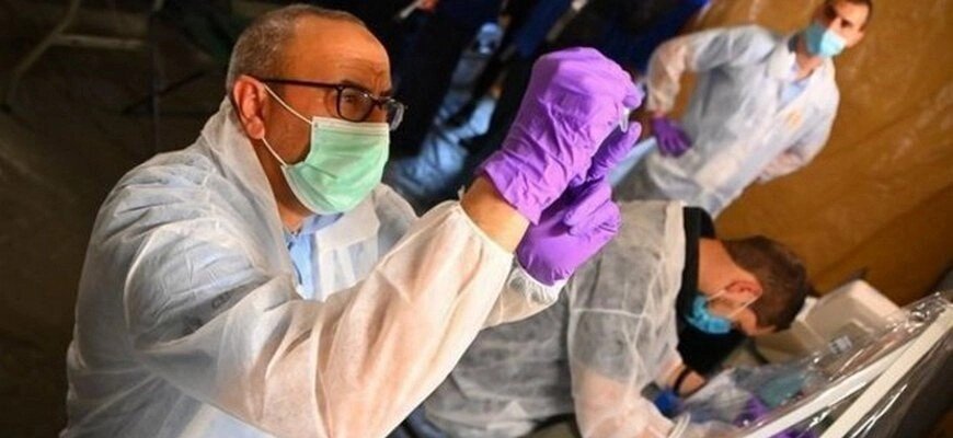 Число заражений оспой обезьян сократилось во всём мире, согласно данным ВОЗ realnoevremya.ru