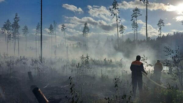   © Photo : Telegram / Минлесхоз