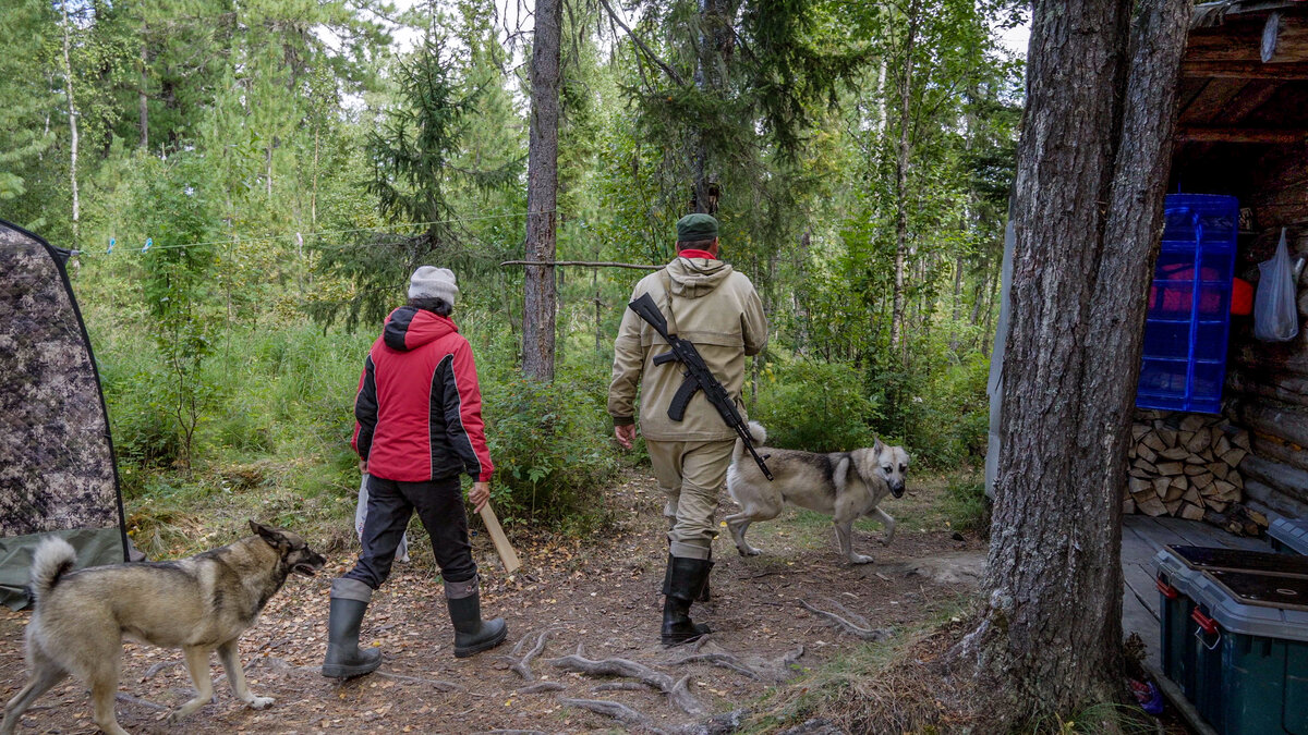 Самый простой рецепт настойки на бруснике и голубике. В простонародье 