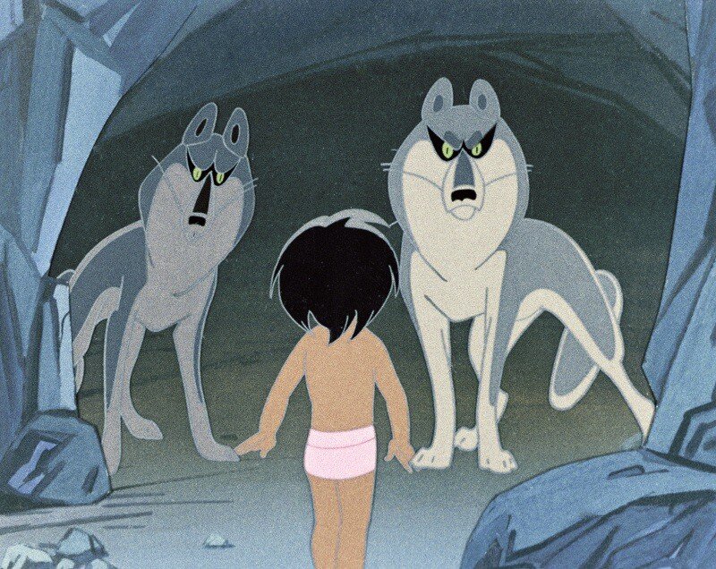 Ребёнок входит в мир животных.