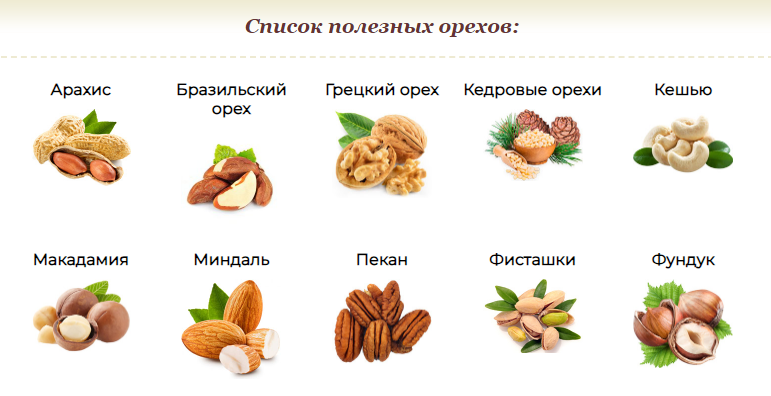 Орехи виды и названия фото на русском