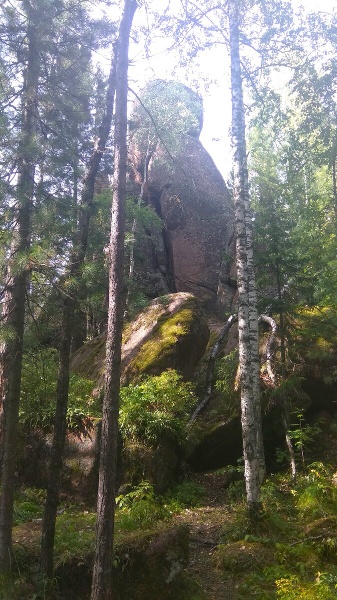 Один из столбов в августе - 50 оттенков зеленого