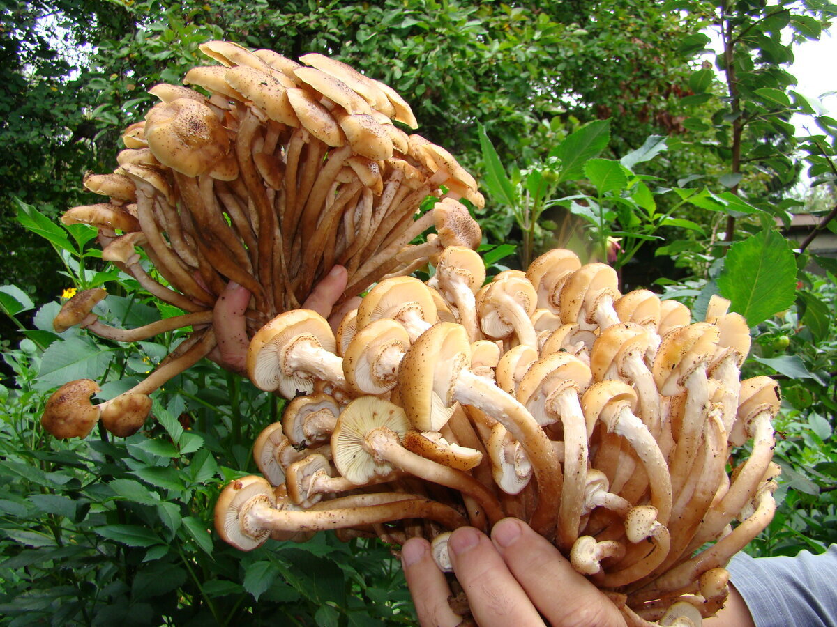 Автор фото Юрий Новиков