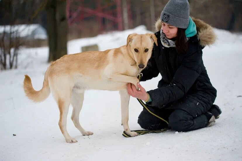 Немного стеснительный, но очень трогательный мальчик