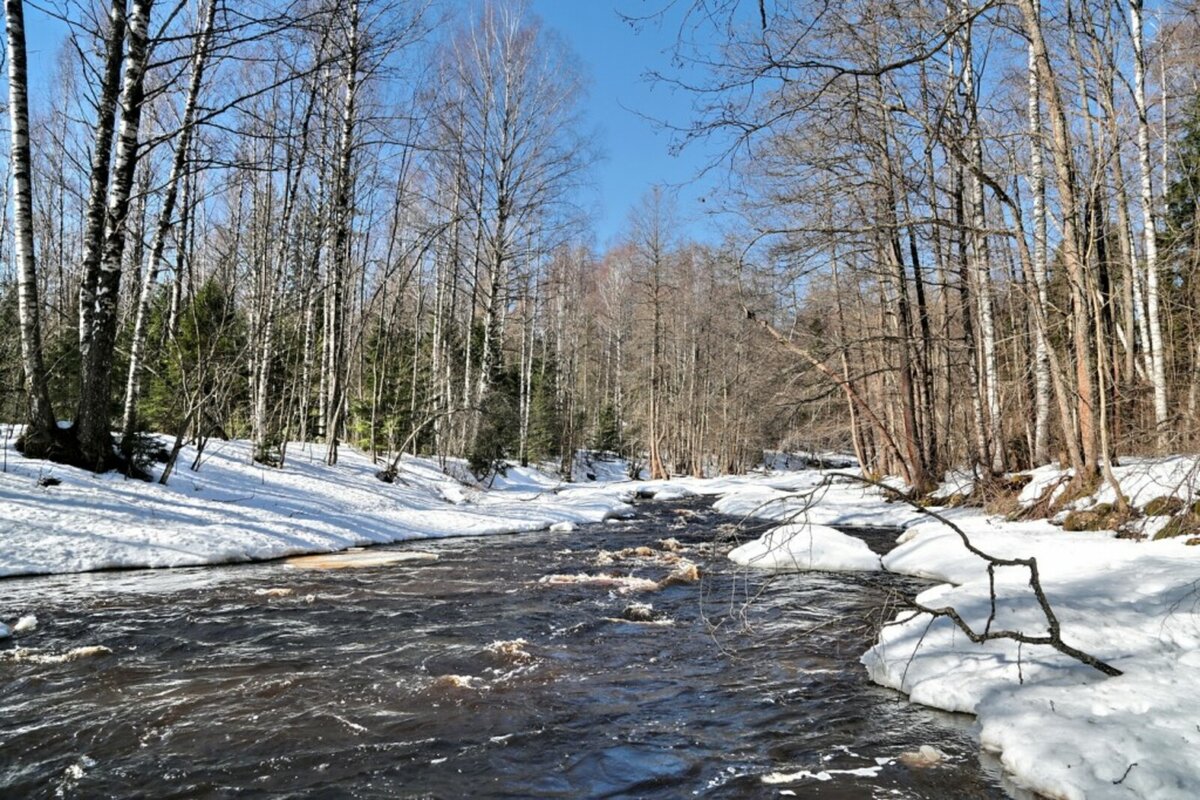 взято из яндекс картинок