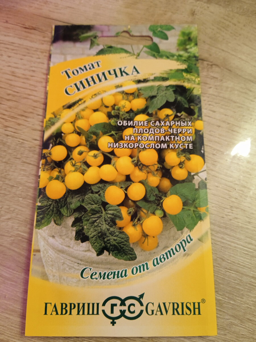Томат Синичка для контейнерного выращивания. Будет расти на балконе. 