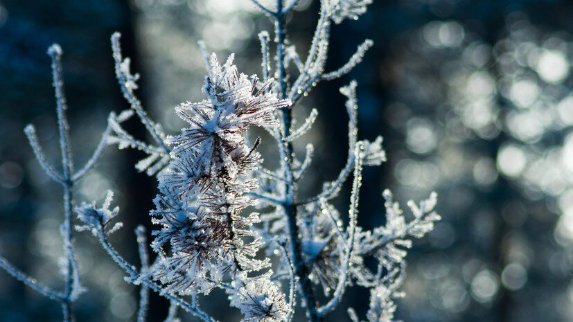   Gettyimages.ru Evgeniy Ovchinnikov