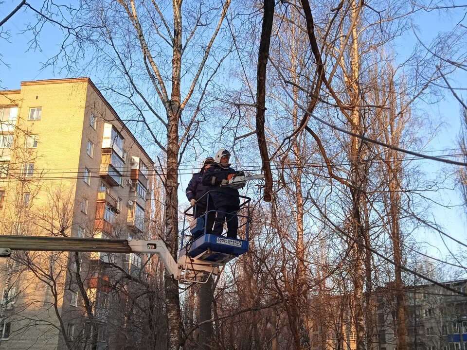     фото Городской службы спасения Воронежа