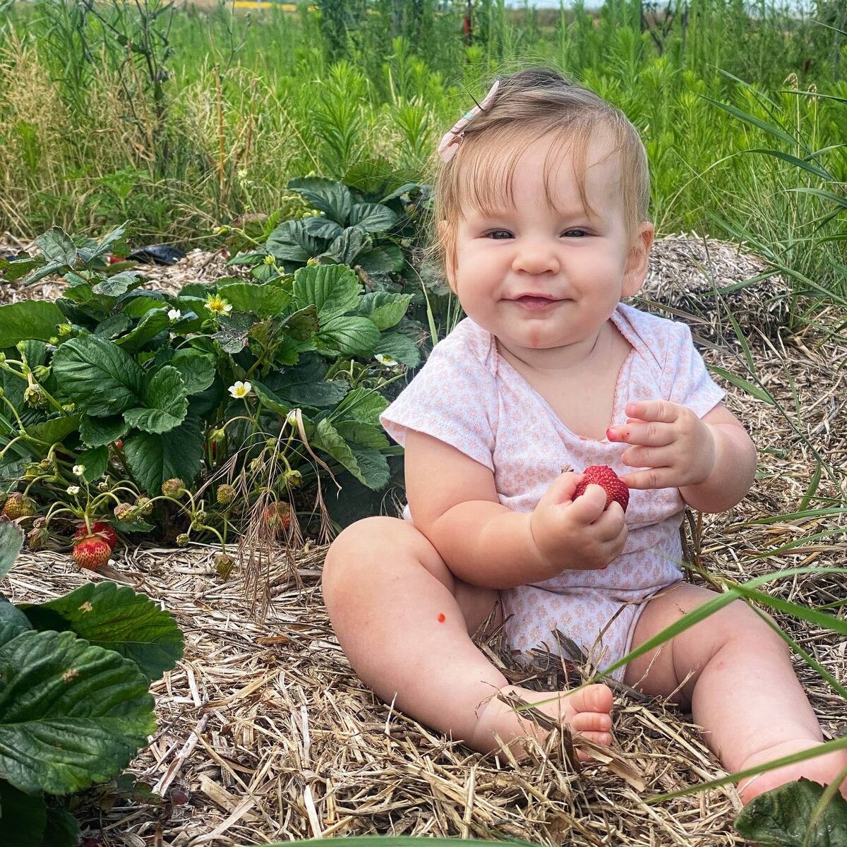 Первый прикорм органической клубникой