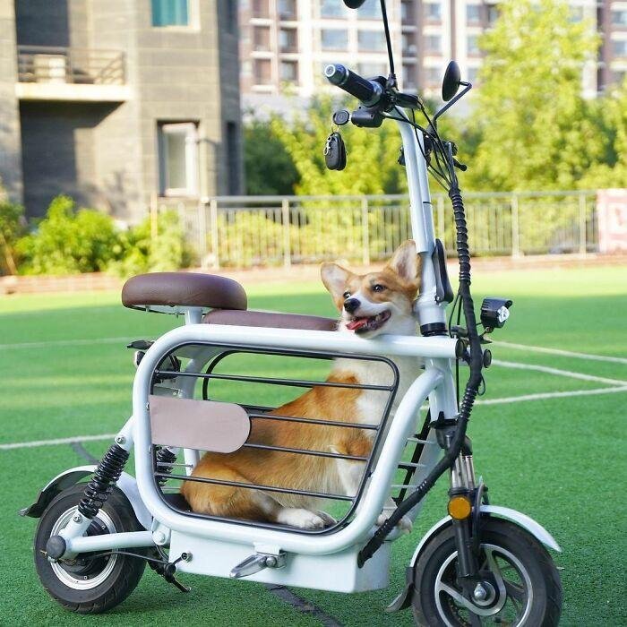      mopet.ebike