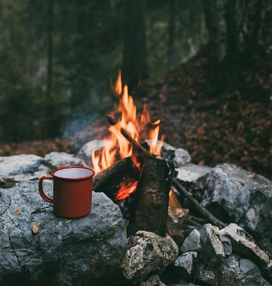 Бушкрафт шашлык в лесу