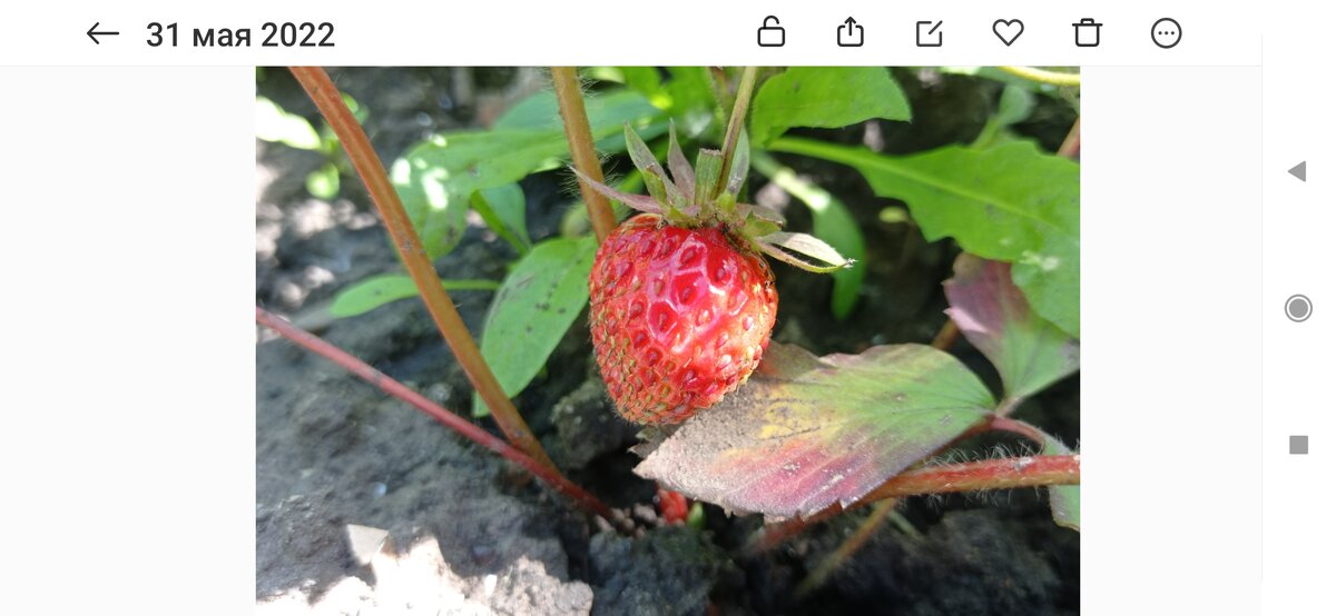 Скрин с телефона