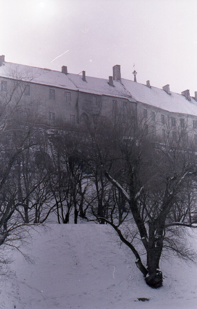 Цветная фотография черно-белого пейзажа. Вид на Вышгород