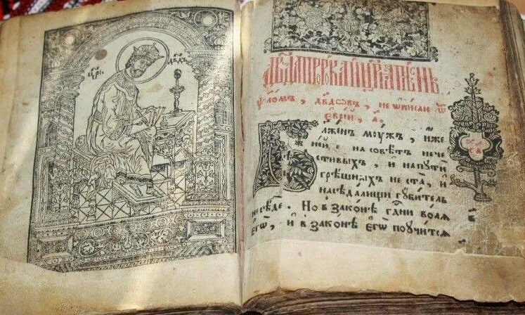 Картинки Яндекс